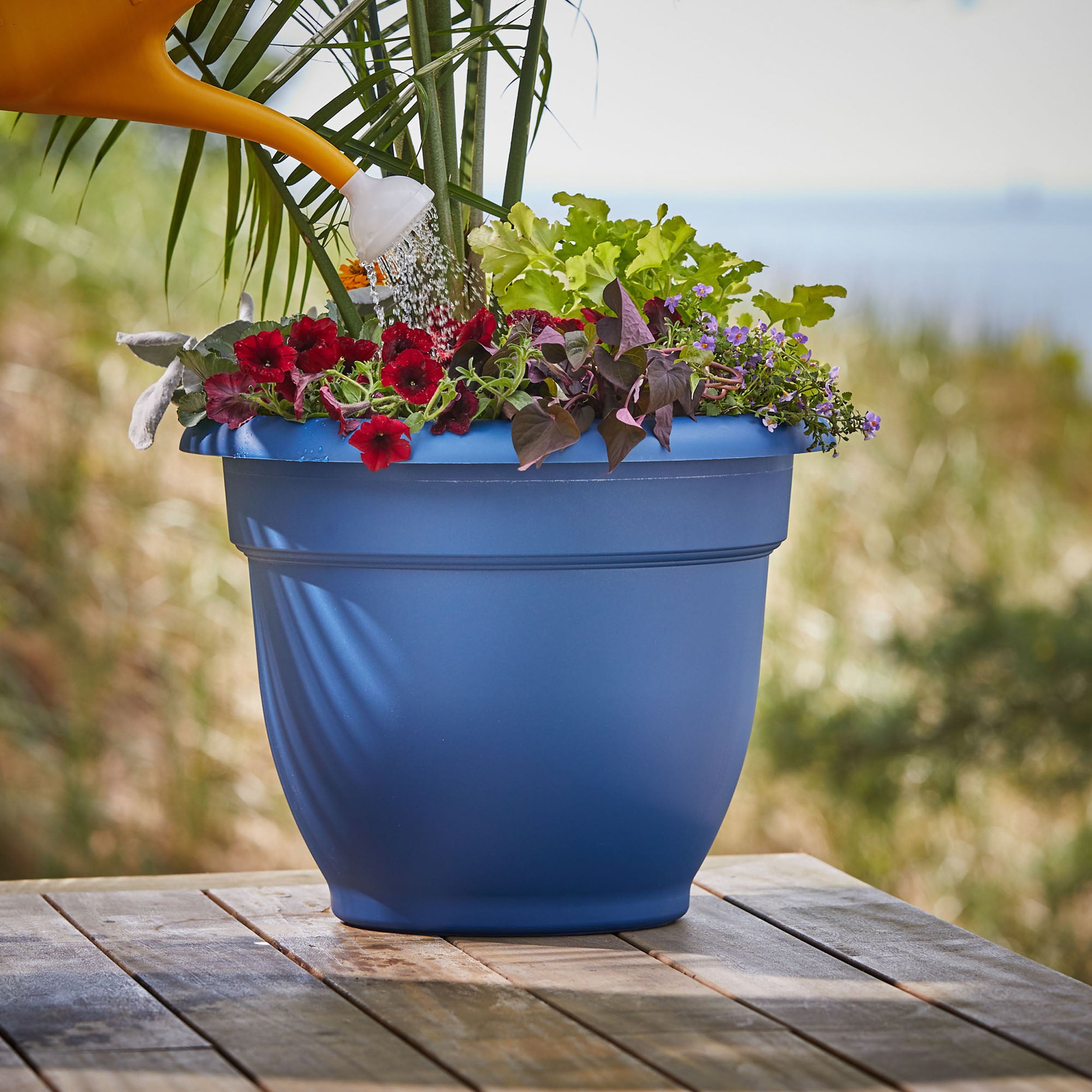 Bloem Watering Can Classic 2 Gallon Bermuda Teal