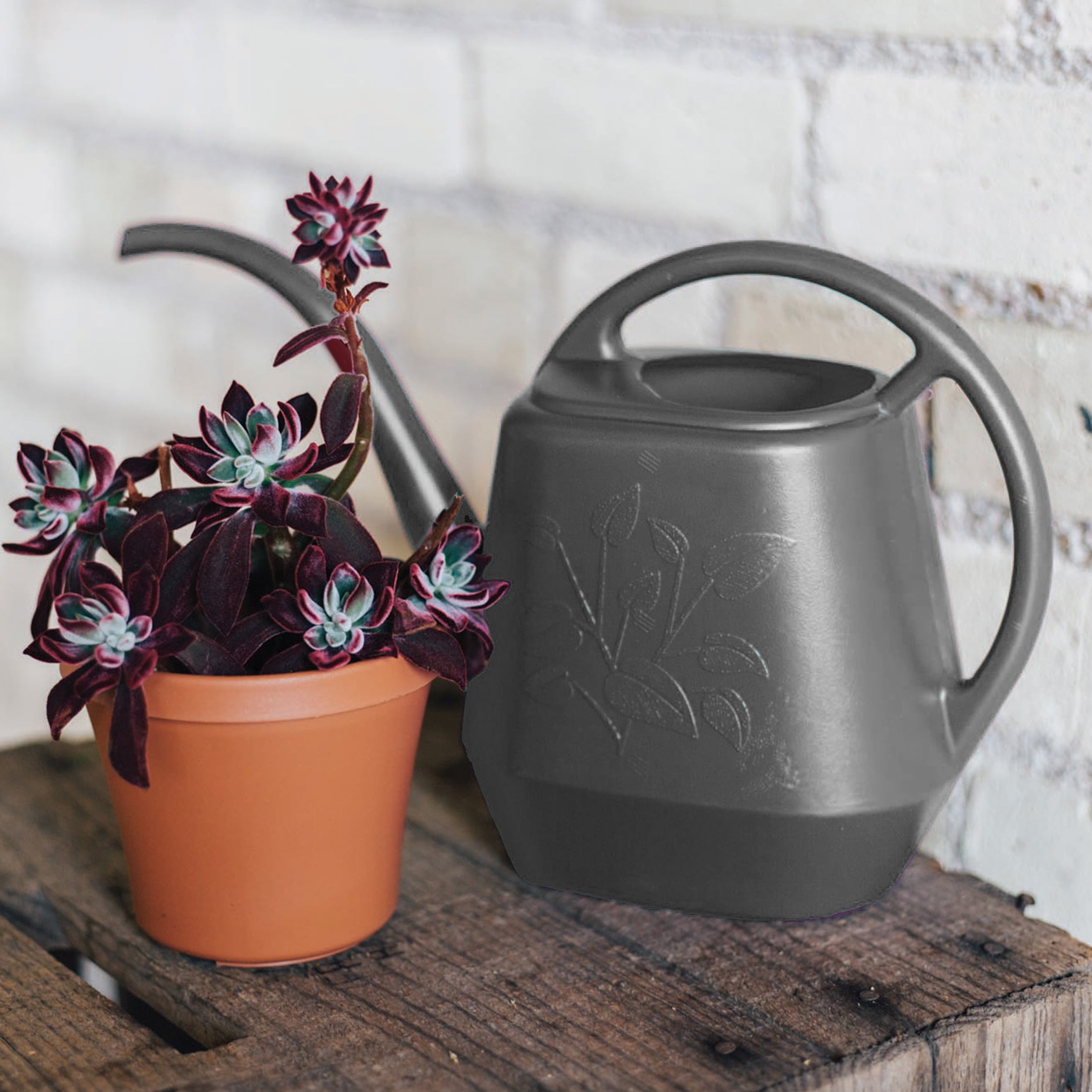 Bloem Watering Can Aqua Rite 1/2 Gal. (56 oz) Charcoal